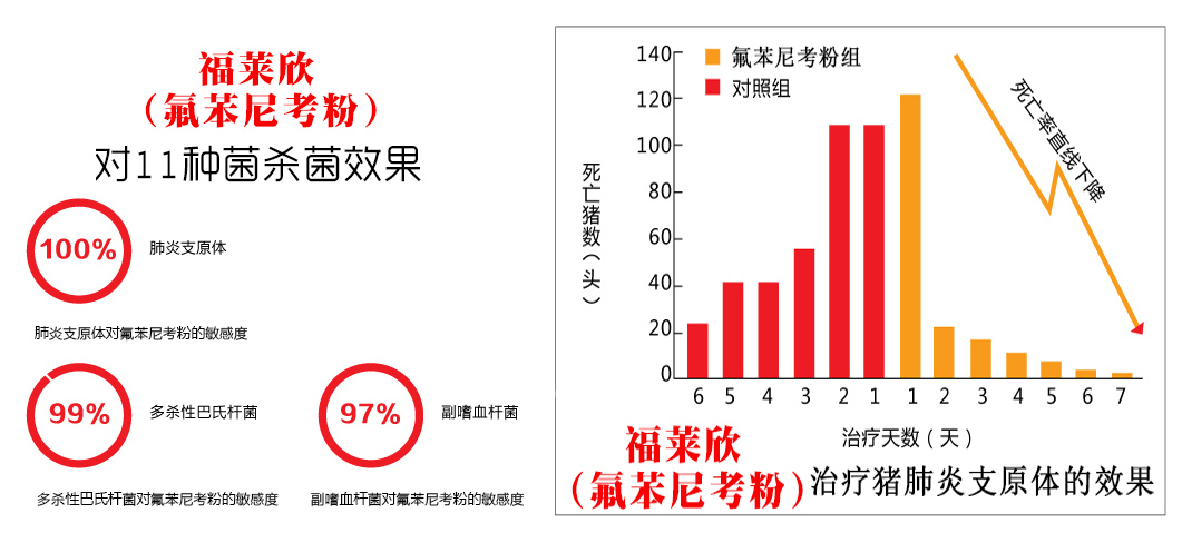 氟苯尼考殺菌效果圖.jpg