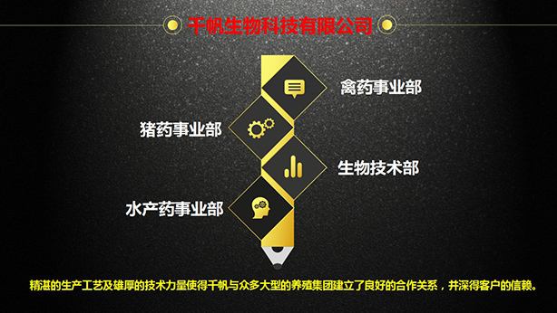 格式工廠1507530766.jpg
