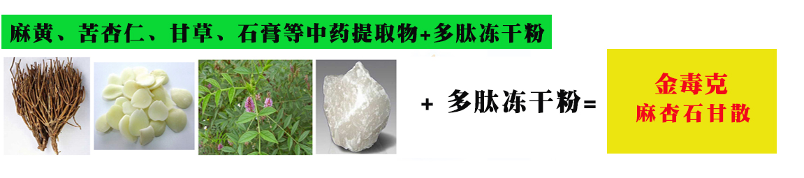 改金毒克圖.jpg