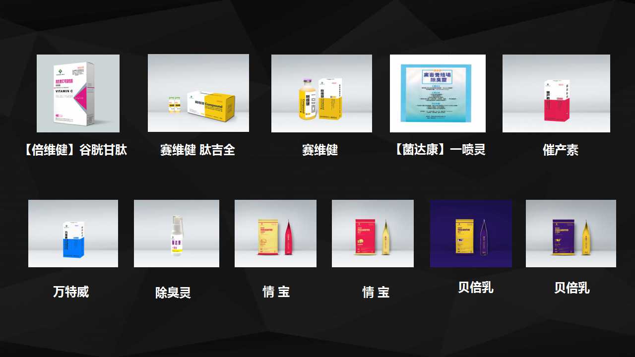 幻燈片23.jpg