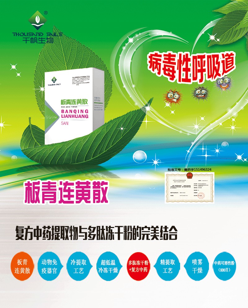 板青連黃.jpg