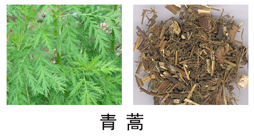 未標題-1.jpg