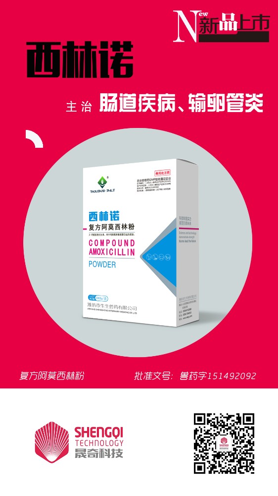 西林諾.jpg