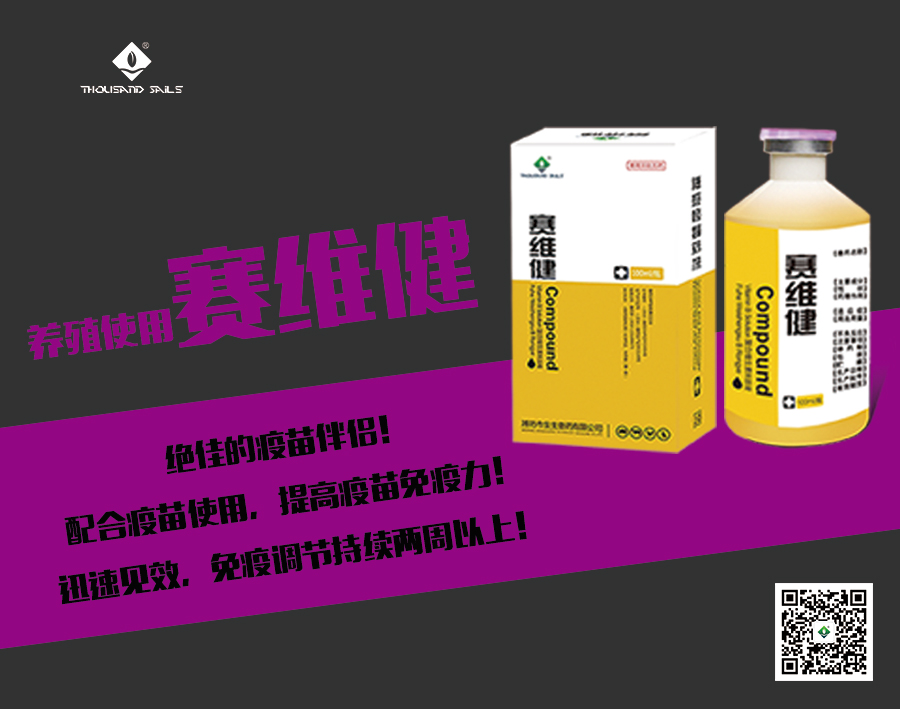賽維健紫色.jpg