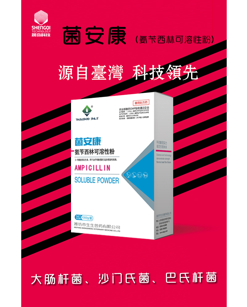 菌安康--氨芐西林可溶性粉