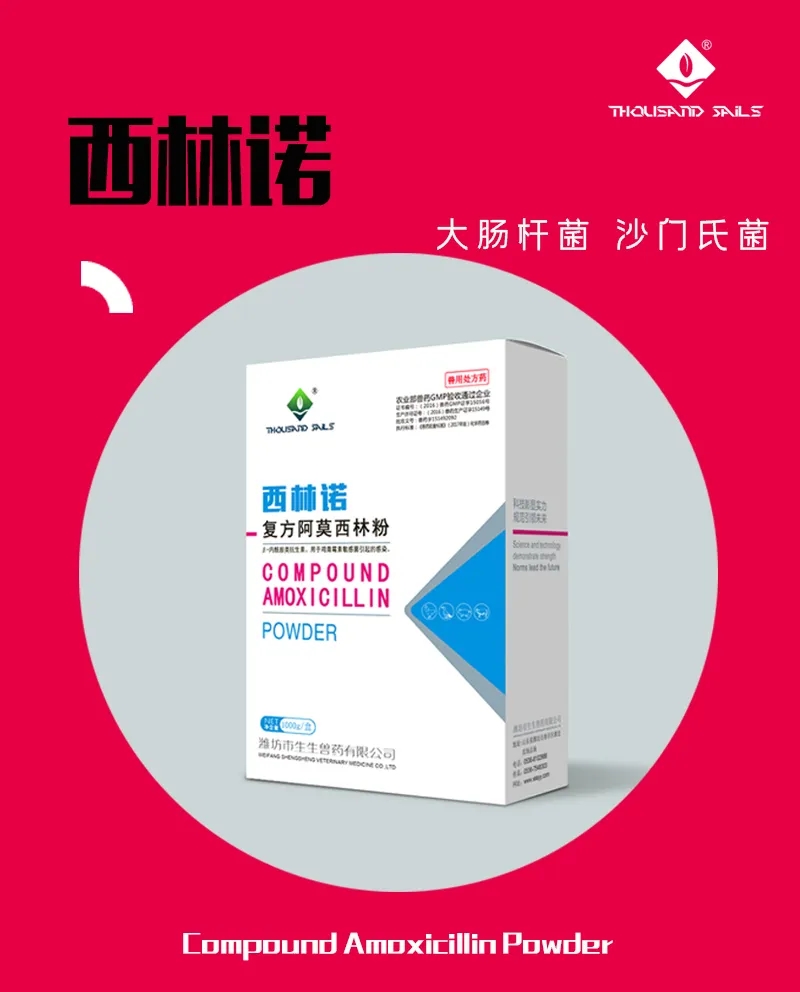 西林諾---大腸桿菌 沙門氏菌