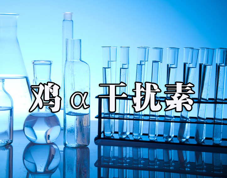 雞α-干擾素臨床和應用研究